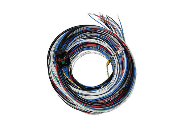 FuelTech FT450/550 A Unterminated Harnesses