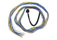FuelTech FT600 Unterminated Harnesses