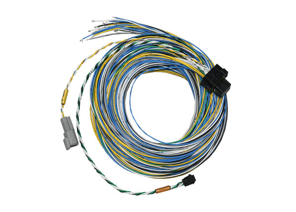 FuelTech FT550 B Unterminated Harnesses